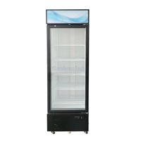 Congélateur vertical à grande capacité, refroidissement par air ventilé, porte vitrée, stockage de crème glacée