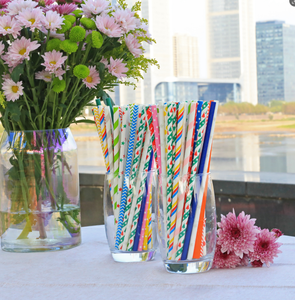 Chất Lượng Cao Tùy Chỉnh In Giấy Rơm Bảo Vệ Môi Trường Phân Hủy Sinh Học Uống Rơm Cho Cắm Trại Kỳ Nghỉ Sinh Nhật - Product Image 4