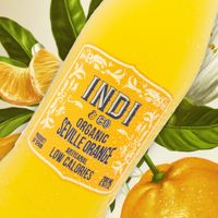 Fabriqué en Espagne ORGANIC SEVILLE ORANGE Boisson gazeuse 200 ml à base de plantes et de jus naturels
