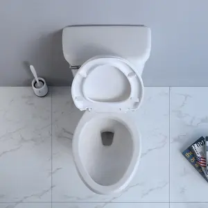 Kamar Mandi Saniter Toilet WC China