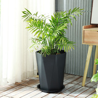 Pot de fleur épaissi en plastique simple de grande taille pour l'arbre de sang de dragon et le paradis des oiseaux pour le sol dans le salon