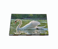 Module d'affichage LCD OLED AMOLED FHD 1920*1080 de 13,3 pouces avec rétroéclairage LED, interface EDP, type TFT