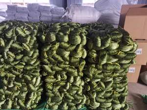 Rete di Nylon <span class=keywords><strong>a</strong></span> doppio nodo 210d/2ply di alta qualità <span class=keywords><strong>a</strong></span> maglie fini ad un prezzo dalla cina - Product Image 2