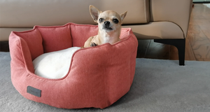 Funda de cojín extraíble XL cama para perros hogar camas ovaladas de moda piel sintética lavable con patrón sólido para mascotas Camas Para Perros - Product Image 5