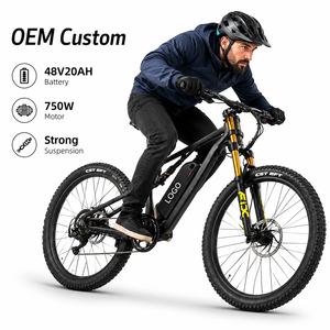 Vélo de montagne 27,5 pouces en aluminium 750W 48V 20Ah avec une autonomie de 80 km pour les cyclistes de montagne professionnels, vélo de montagne à double moteur DH420 personnalisé - Product Image 1