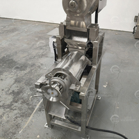 Industriële watermeloenpers met crusher, 304 roestvrijstalen schroefpers sapcentrifuge voor commerciële verwerking