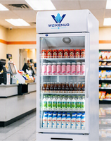 Réfrigérateur vertical commercial grande capacité à porte unique, refroidissement par ventilateur, pour boissons