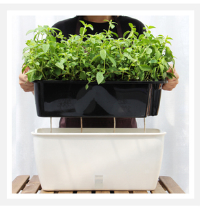 SQ36 <span class=keywords><strong>Jardinière</strong></span> rectangulaire en plastique grande taille pour <span class=keywords><strong>balcon</strong></span> familial, pot de fleurs à arrosage automatique, idéal pour fraises et légumes - Product Image 3