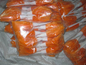 <span class=keywords><strong>Plumeau</strong></span> de dinde <span class=keywords><strong>multicolore</strong></span> - Product Image 3