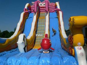 Calamardo grande al aire libre inflable <span class=keywords><strong>salto</strong></span> <span class=keywords><strong>cascada</strong></span> tobogán para adultos y niños castillo hinchable Paraíso - Product Image 4