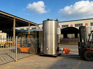 全自动低压工业立式热水锅炉 中心燃气/液化石油气/柴油 100-1200K卡路里 - Product Image 2