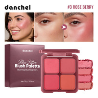 Palette de fard à joues 4 couleurs, poudre minérale douce, longue tenue, contour naturel des joues, fard à joues mat, rouge à lèvres en poudre