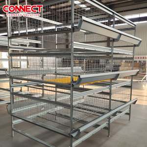 50000 tavuk bir Set otomatik tarım ekipmanları pil kanatlı Brooder H tipi Broiler tavuk kafesi sistemi için bebek civciv - Product Image 1