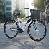Tianjin 26 pouces vélo de croisière à vitesse unique avec frein de caboteur nouveau modèle de cadre en acier populaire sur le marché russe pour les adultes