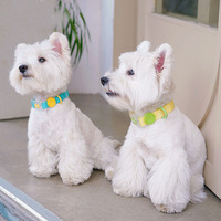 Regenbogenfarbenes Wasserdichtes Nylon-Hundehalsband und Leinenset Silikon Verstellbares Haustierhalsband Hundespazier-Set mit D-Ring
