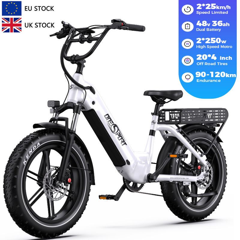 About Bicycle High Performance Mountain Electric Bikes