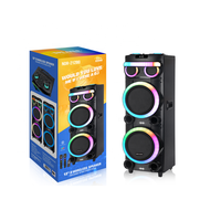 NDR-21280 double 12 "haut-parleur de tour de son de dent bleue de fête de théâtre de puissance élevée avec la boîte en bois de batterie rechargeable 100W
