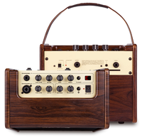 Amplificateur de guitare acoustique rechargeable en bois, sortie 25W, léger (5KG), produit de sport et de divertissement