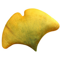 Oreiller feuille simulée Cartoon Maple Leaf Ginkgo Green Leaf Plush Toy Coussin Sofa Plant Prop Waist Pillow
