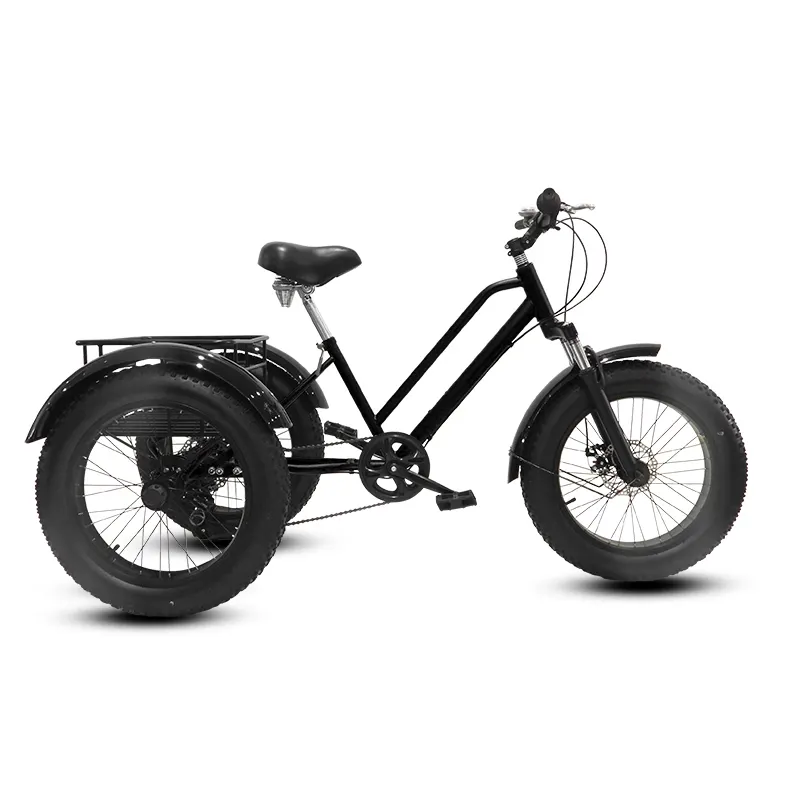 Modèle chaud 20 "bleu de haute qualité gros tricycle pédale vélo personnalisé adulte VTT pour transporter des marchandises