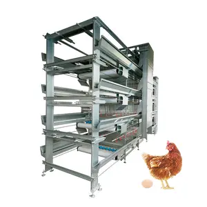 9 Cages à poules automatiques de Type A batterie, Cage de distribution pour élevage de volaille, pour ferme du Ghana