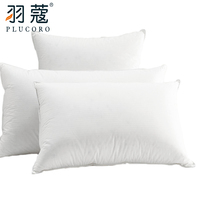 Oreiller en plume de canard pour l'hôtel, coussin médical, vente en gros, économique