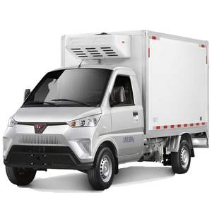 Transport spécial nourriture viande légumes fruits crème glacée poisson livraison congélateur <span class=keywords><strong>camion</strong></span> réfrigérateur voiture Wuling camionnette réfrigérée - Product Image 1