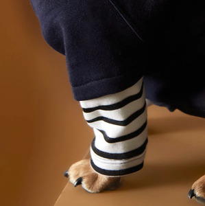 Camiseta a rayas de otoño para perros medianos y grandes, ropa sostenible acogedora, <span class=keywords><strong>Golden</strong></span> <span class=keywords><strong>Retriever</strong></span>, Labrador, mascotas de tamaño pequeño, verano e invierno - Product Image 5