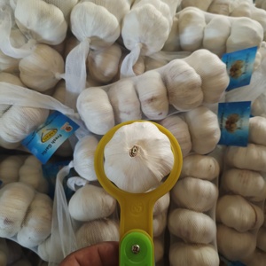 <span class=keywords><strong>2025</strong></span> cây trồng mới chất lượng cao tốt nhất bán tỏi tươi kích thước lớn Sản phẩm chất lượng cao từ Trung Quốc - Product Image 4