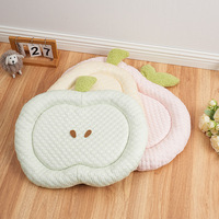 Honden- en kattenmat Kennel Fruit Series Cool Mat Zachte Mat Teddy Kleine Hond Zomer Ademend Modieus Modern Huisdierenbed Kartonnen Verpakking