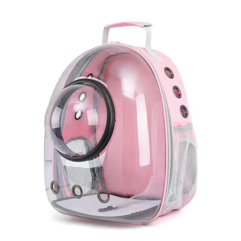 Bouclier spatial 12 trous transparent - rose