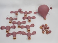 Modèle d'examen gynécologique avancé / pour la formation aux examens bimanuels et rectovaginale, avec col de utérus interchangeable et placement d'DIU