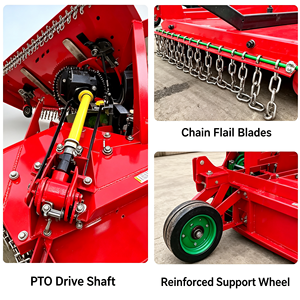 Cortadora Rotativa <span class=keywords><strong>de</strong></span> 3 Puntos Montada en <span class=keywords><strong>Tractor</strong></span>, Altura <span class=keywords><strong>de</strong></span> Corte Ajustable, Máquina Desmalezadora <span class=keywords><strong>para</strong></span> Huertos - Product Image 3