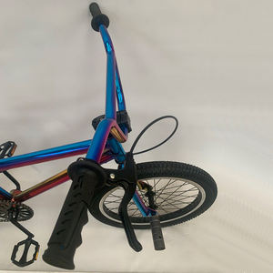 OEM Étudiant Sport Racing Bicicleta Freestyle BMX Vélo Cycle/20 <span class=keywords><strong>pouces</strong></span> Adulte Enfants BMX Vélo/Vente en gros Malaisie Enfants BMX Vélo - Product Image 4