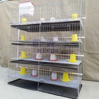 4 Niveaux 120 à 320 Capacité Oiseaux Type H Batterie Galvanisée à Chaud Élevage de Volaille Cage à Poulets pour Petits Poussins