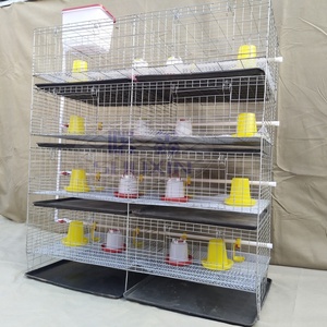 4 livelli 120 alla 320 capacità di uccelli tipo batteria di tipo H gabbia di pollo <span class=keywords><strong>per</strong></span> allevamento di pollame zincato a caldo <span class=keywords><strong>per</strong></span> piccoli <span class=keywords><strong>pulcini</strong></span> - Product Image 2