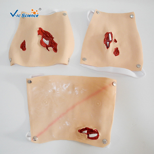 Módulo Avanzado de Evaluación de Traumas para Entrenamiento Médico de Emergencia con Múltiples Sitios de Heridas - Product Image 6