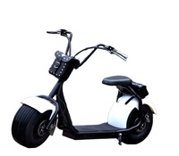Ucuz Toptan Citycoco Elektrikli Harley Scooter Çift Kişilik Geniş Tekerlekli Yetişkin E-Motosiklet Büyük Kapasiteli Lityum Pil ile
