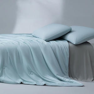 <span class=keywords><strong>Meilleure</strong></span> vente : <span class=keywords><strong>Couette</strong></span> <span class=keywords><strong>d</strong></span>'<span class=keywords><strong>été</strong></span> King Size en Spandex rafraîchissant et lavable, teinte en fil, couleur unie, respirante, fournie directement par l'usine - Product Image 6