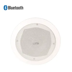 Mẫu miễn phí OEM chất lượng cao địa chỉ công cộng Hệ thống Bluetooth thụ động 100V 15 Wát loa trần cho bộ khuếch đại