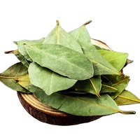 Pabrik Daun Laurel Menyediakan Rempah-rempah Alami Berkualitas Tinggi Grosir Daun Laurel Kering Daun Bay