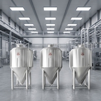 Cuves de Fermentation Verticales pour Vin et Bière, Automatiques, Contrôlées par PLC, Capacités de 500L à 2000L, Faciles à Utiliser, Tension 220/380V, Garantie 3 Ans