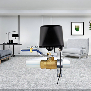 Eleveniot 2025 tuya <span class=keywords><strong>Wifi</strong></span> ZigBee thông minh mô-đun chuyển đổi EU/chúng tôi tương thích hỗ trợ bằng giọng nói ứng dụng từ xa nhà thông minh sử dụng tư nhân khuôn - Product Image 3