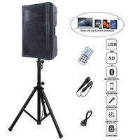 Ensemble de karaoké sans fil professionnel 500W avec haut-parleur 15 pouces, système audio DJ/PA, micro TWS, télécommande et écho