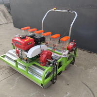 Semoir pour légumes Semoir pour oignons à essence Semoir pour poivrier Laitue Sésame Semoir