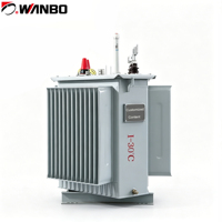 Transformateur de distribution triphasé immergé dans l'huile Wanbo-99 IEC 60076 630kVA/800kVA/1000kVA 11kV/22kV 400V 50/60Hz Cuivre