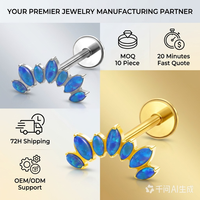 Labrets et Piercings de Cartilage d'Oreille en Titane Poli Miroir, Zircon et Plaqué Or 24K, Hypoallergéniques, Cadeau de Mariage, Bijoux Corporels