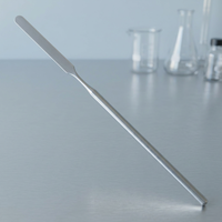 Espátula Facial de Acero Inoxidable de Alta Calidad, Personalizada, Antioxidante, para Mezclar Maquillaje, Espátula Cosmética Recta de Acero, Envío Rápido