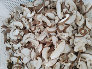 Máquina Cortadora de Champiñones Barata, Herramienta Pequeña para Cortar <span class=keywords><strong>Boletus</strong></span>, Rebanadora de Champiñones - Product Image 3