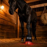 Botte de thérapie par lumière rouge pour sabots équins 660nm 850nm 80 LED – Soulagement de la douleur chez le cheval par thérapie par lumière rouge
